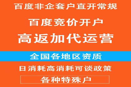 探索SEM推广代运营的奥秘：成功背后的故事